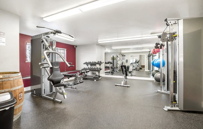 Fitness center with lifting equipment