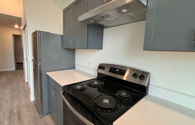 Studio, 1 bath, 398 sqft, $1,250, Unit 217