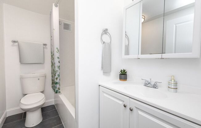 Bathroom-Classic