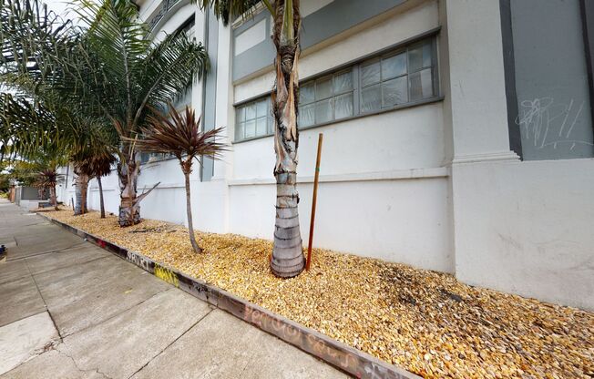 Studio, 1 bath, 264 sqft, $1,495, Unit #217