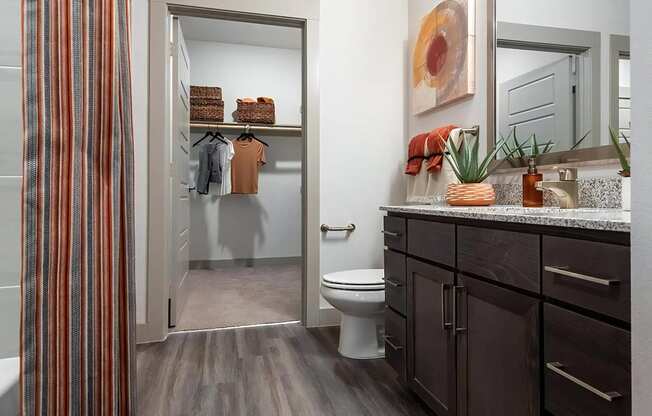 Walk In Closet Through Bathroom