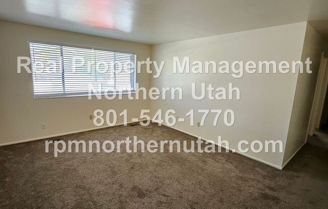 2 beds, 1 bath, $1,225, Unit Unit 29