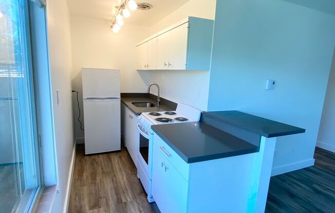 1 bed, 1 bath, 485 sqft, $1,450, Unit 114