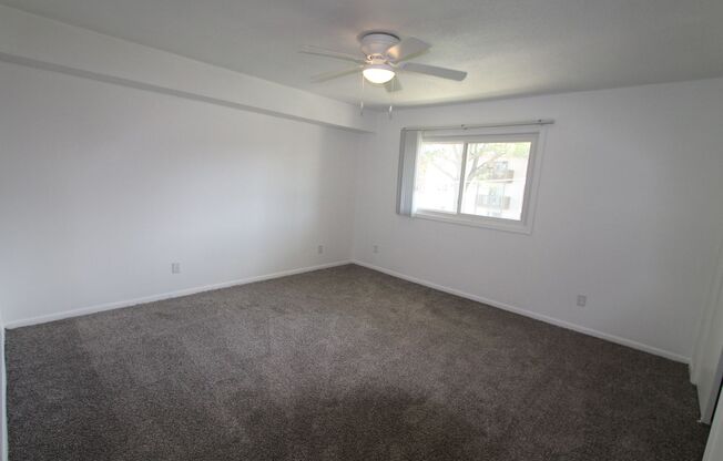 1 bed, 1 bath, 800 sqft, $810, Unit 117