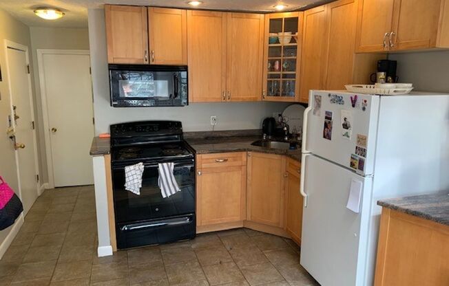 1 Bed 1 Bath condo in the Gaslight District. Roof Deck!!