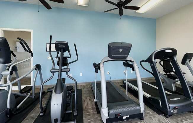 A gym with treadmills and elliptical machines.