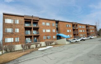 3550 W. Dimond Blvd #308