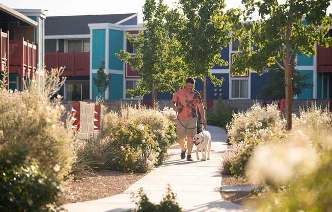 A man walking a dog on a path in a park.