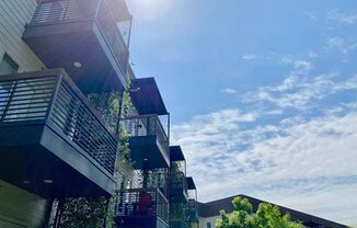 Thornton Flats