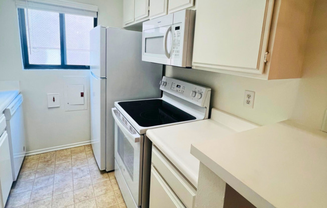 Studio, 1 bath, 500 sqft, $2,095, Unit 203