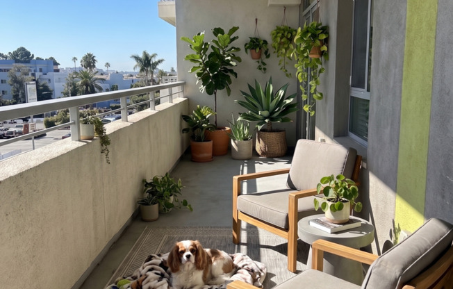 2 beds, 2 baths, 930 sqft, $3,995, Unit 308