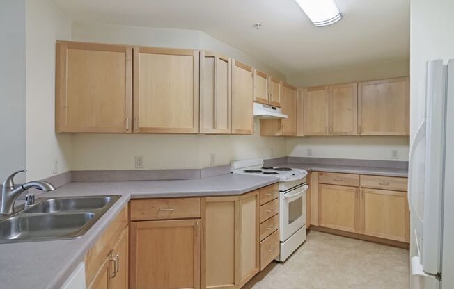 2 beds, 1 bath, 981 sqft, $1,525, Unit 0704