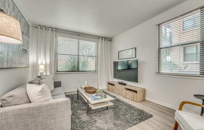 A living room with a grey couch, a coffee table, and a television.