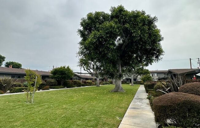 2 beds, 1 bath, 802 sqft, $2,565, Unit 6800-C