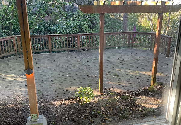 11289 SW CAPITOL HWY