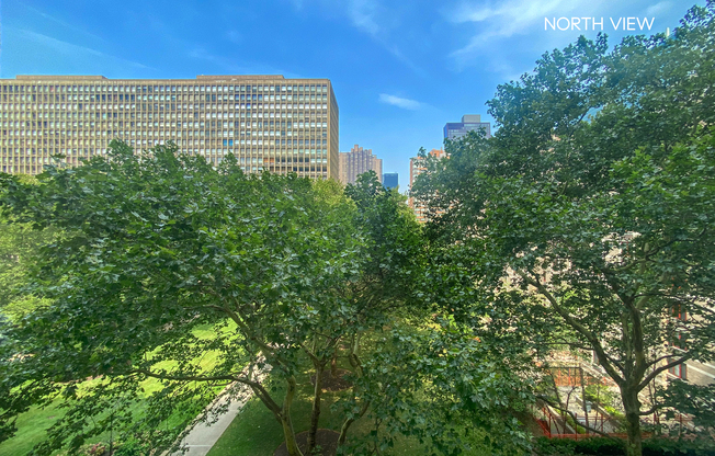 1 bed, 1 bath, 808 sqft, $5,000, Unit 4B