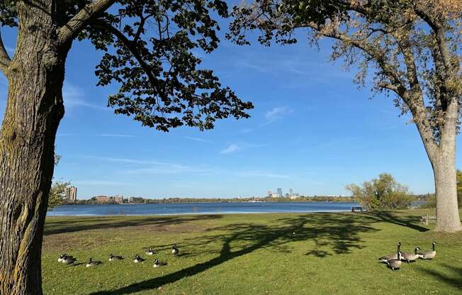 Lake Harriet Scenic Views
