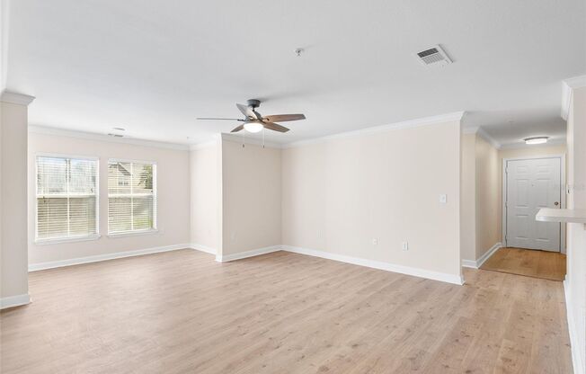 NEW TAMPA APARTMENT FOR RENT!