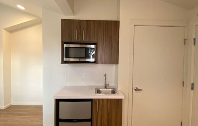 Studio, 1 bath, 175 sqft, $1,495, Unit 501