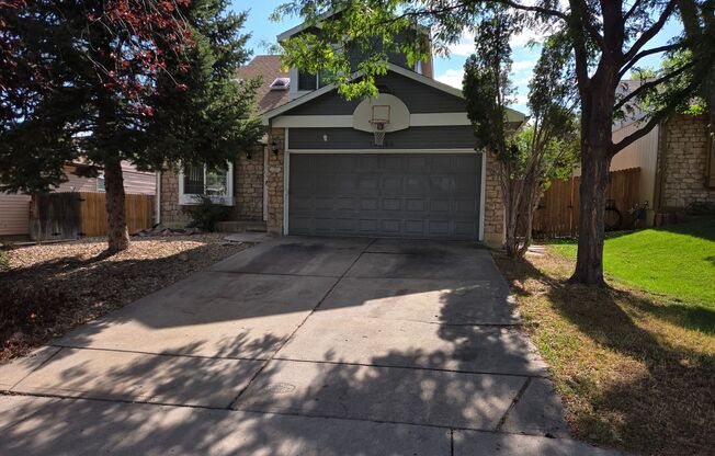 Remodeled Home in Thornton