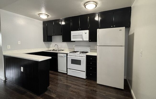 Studio, 1 bath, 455 sqft, $1,885, Unit 59-102