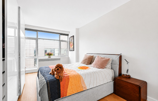 2 beds, 2 baths, $6,100, Unit 5C