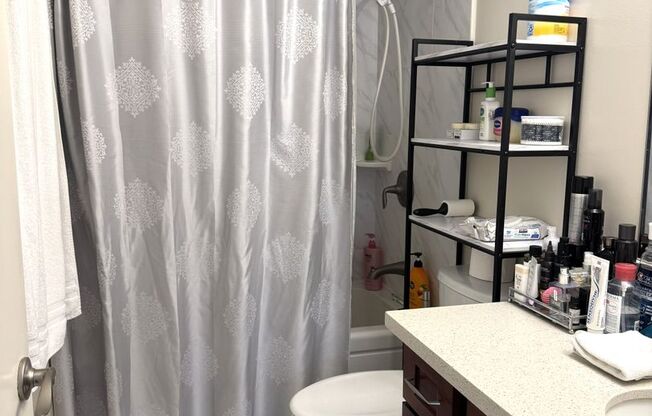 1 bed, 1 bath, $2,600