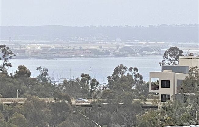 Studio, 1 bath, 464 sqft, $2,445, Unit 411