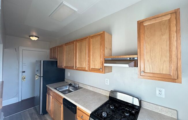 Studio, 1 bath, 310 sqft, $1,250, Unit 301