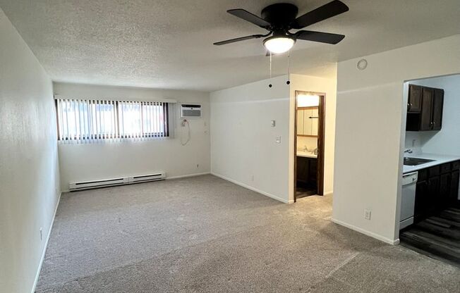 2 beds, 1 bath, $800, Unit 101