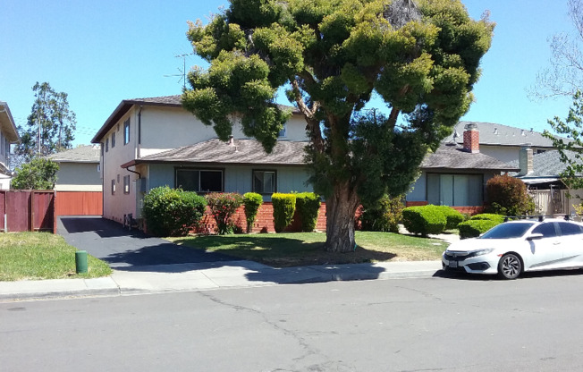 651 BELLADONNA CT