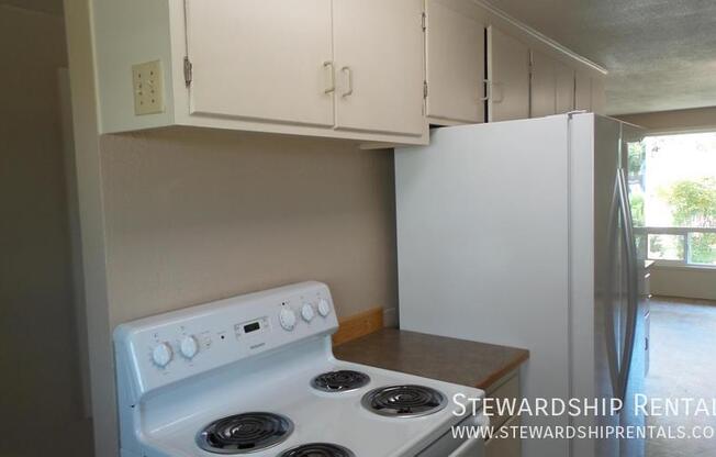 2895 ML ST