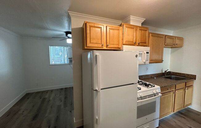 Studio, 1 bath, $1,250, Unit 111 -2