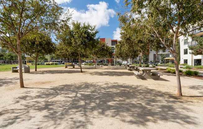 A park with a sandy area and trees.