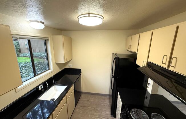 1 bed, 1 bath, 700 sqft, $1,445, Unit 0201