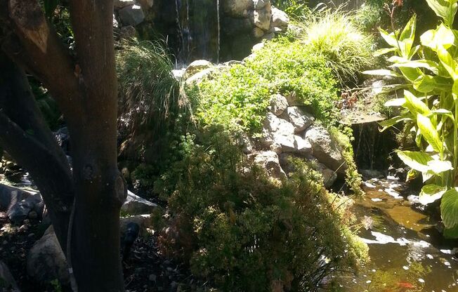 Tropical Oasis in West LA: Stunning 3-Bedroom Home with Lush Yard, Hot Tub & Koi Pond