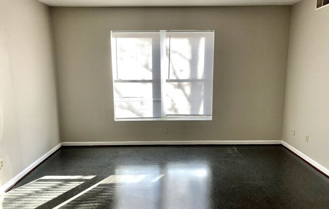 Updated first floor 1 bedroom apartment in West Louisville- Section 8 accepted