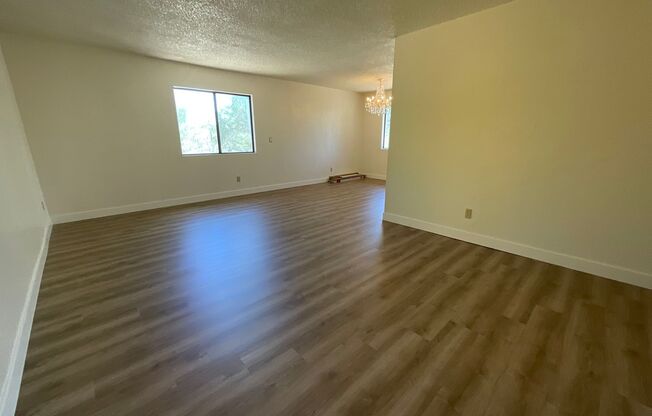 Great Northwest location Magee & La Canada