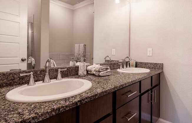 Bathroom sink facing large mirror and brushed nickel hardware