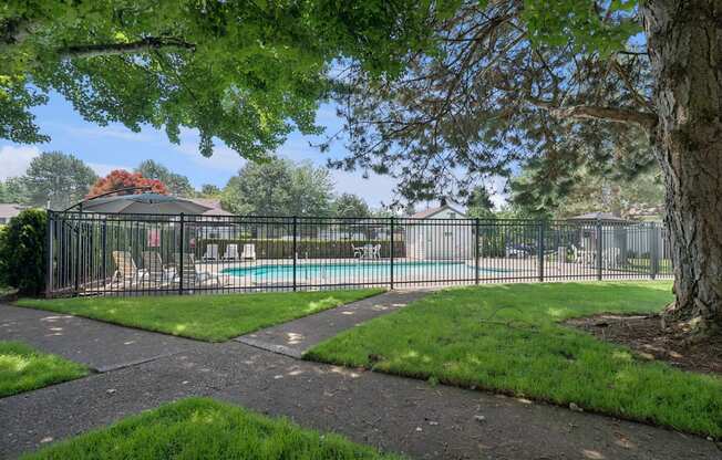 A tree is in the foreground of a photo showing a pool and a fence.