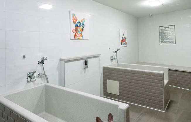 A French bulldog sitting in one of two large pet-washing tubs with detachable sprayers. On the wall is a colorful image of a dog wearing goggles.