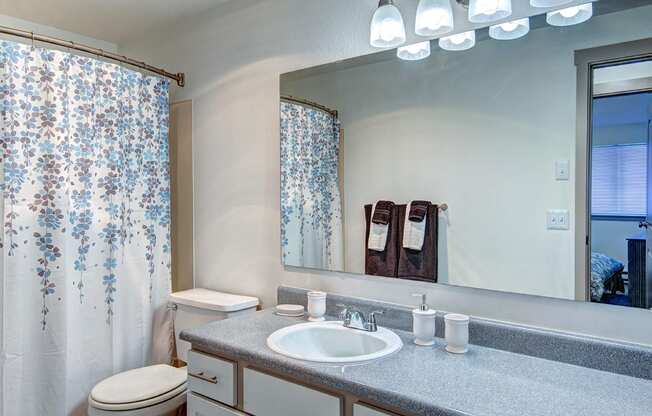 Tacoma Apartments- Heatherstone Apartments-bathroom