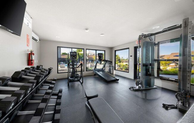 1 bed, 1 bath, 707 sqft, $1,875