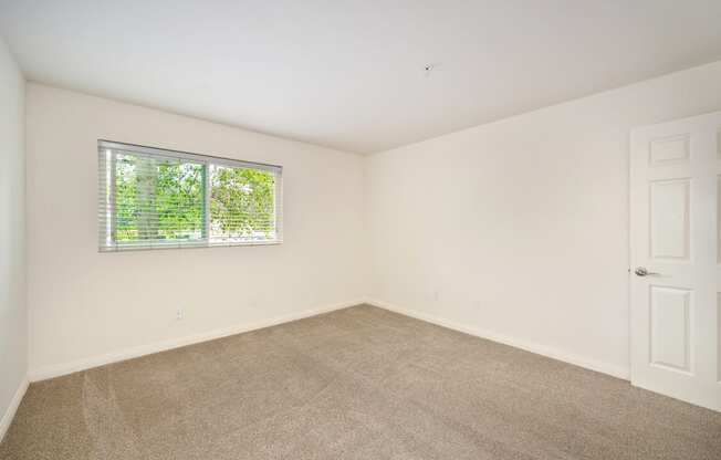an empty room with carpet and a window