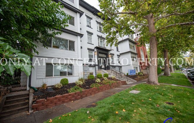 1 bed, 1 bath, 341 sqft, $1,299, Unit 3C