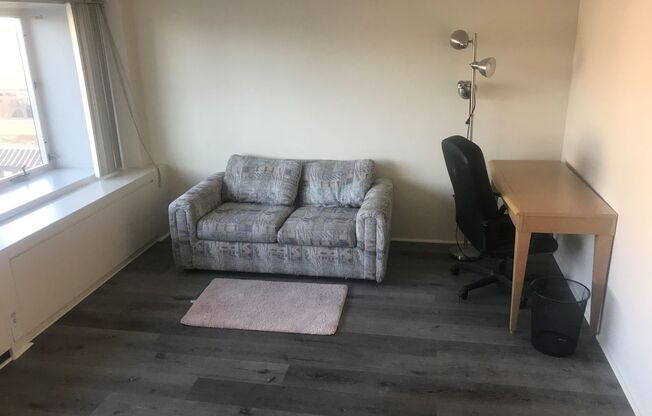 UPDATED FURNISHED STUDIO ON U OF M CAMPUS