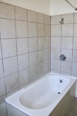 Studio, 1 bath, $1,290, Unit 205