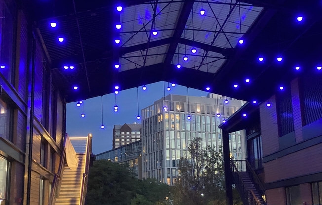 1 bed, 1 bath, 800 sqft, $3,600, Unit 402