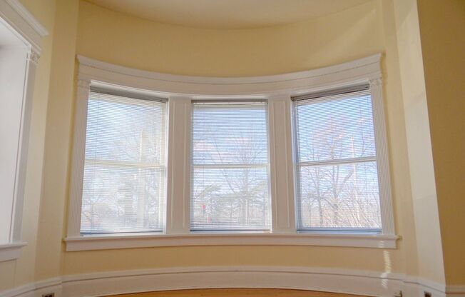 Charming 3 BD/2 BATH right across the street from Forest Park!