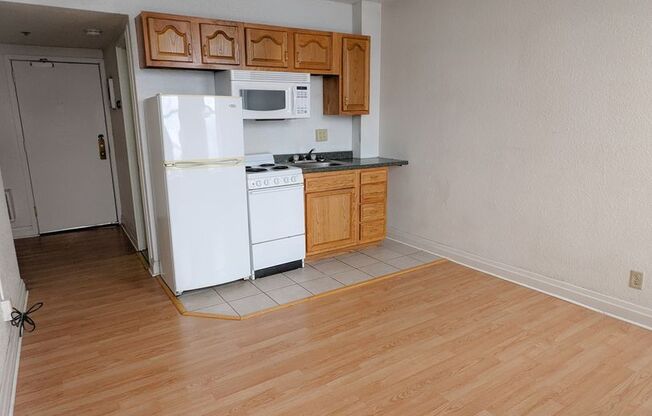 Studio, 1 bath, 195 sqft, $470, Unit 517